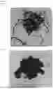 Fig. 03 - BIODEGRADABLE COMPOSITE ARTICLES
