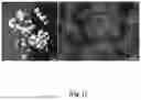 Fig. 02 - FIRE PROTECTION AND INSULATION COMPOSITION AND METHOD OF USE THEREOF