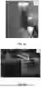 Fig. 03 - FIRE PROTECTION AND INSULATION COMPOSITION AND METHOD OF USE THEREOF