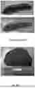 Fig. 06 - FIRE PROTECTION AND INSULATION COMPOSITION AND METHOD OF USE THEREOF