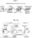 Fig. 02 - Multiple Feature Integration With Next-Generation Three-Dimensional in Situ Sequencing