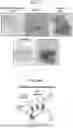 Fig. 04 - Multiple Feature Integration With Next-Generation Three-Dimensional in Situ Sequencing