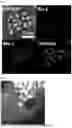 Fig. 02 - ALLOY, AGGREGATE OF ALLOY NANOPARTICLES, AND CATALYST