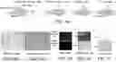 Fig. 02 - System and method to select and isolate particles and cells and uses thereof