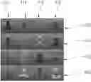Fig. 01 - TECHNIQUE FOR DYNAMICALLY ADAPTING AN EXPOSURE VALUE IN INTERACTIVE RENDERING