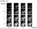 Fig. 03 - IMAGE PROCESSING APPARATUS AND MATERIAL INFORMATION OBTAINMENT METHOD