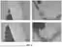 Fig. 05 - TECHNIQUES FOR ANALYZING AND MAPPING GEOGRAPHIC AREAS USING UAS