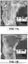 Fig. 07 - METHOD AND SYSTEM FOR AUTOMATICALLY CAPTURING AND EXTRACTING DATA FROM IMAGES OF AGRICULTURAL FIELD CROPS AND WEEDS USING MACHINE LEARNING PROCESSES