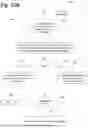 Fig. 52 - Optical character recognition of bag tag