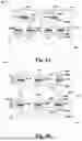 Fig. 05 - TRANSISTORLESS MEMORY CELL