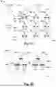 Fig. 06 - TRANSISTORLESS MEMORY CELL