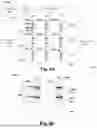 Fig. 07 - TRANSISTORLESS MEMORY CELL
