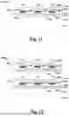 Fig. 11 - TRANSISTORLESS MEMORY CELL