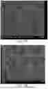 Fig. 08 - COMPOSITIONS AND METHODS FOR MULTILAYER ELECTRODE FILMS