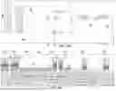 Fig. 17 - TRANSISTOR CIRCUITS INCLUDING FRINGELESS TRANSISTORS AND METHOD OF MAKING THE SAME