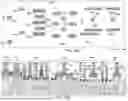 Fig. 68 - TRANSISTOR CIRCUITS INCLUDING FRINGELESS TRANSISTORS AND METHOD OF MAKING THE SAME