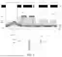 Fig. 02 - DRIVING BACKPLANE AND DISPLAY PANEL