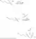 Fig. 10 - IONIC LIQUID INSPIRED ZWITTERIONS WITH HIGH CONDUCTIVITY AND TRANSPORT NUMBER