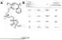 Fig. 23 - IONIC LIQUID INSPIRED ZWITTERIONS WITH HIGH CONDUCTIVITY AND TRANSPORT NUMBER