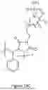 Fig. 24 - IONIC LIQUID INSPIRED ZWITTERIONS WITH HIGH CONDUCTIVITY AND TRANSPORT NUMBER