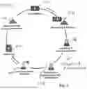 Fig. 02 - GRAPHITE RECYCLING FROM LI-ION BATTERIES