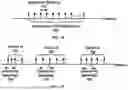 Fig. 08 - Cell Grouping in Beam Failure Recovery Procedure