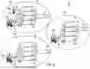 Fig. 10 - Distributed land mobile radio architectures