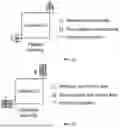 Fig. 09 - CANDIDATE DERIVATION FOR AFFINE MERGE MODE IN VIDEO CODING