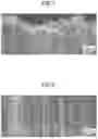 Fig. 08 - LAMINATE AND ELECTROMAGNETIC WAVE ABSORBER
