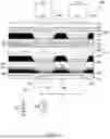 Fig. 08 - DISPLAY DEVICE AND ELECTRONIC DEVICE FOR CONTROLLING VIEWING ANGLE