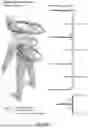 Fig. 18 - SYSTEMS AND METHODS FOR SENSOR-BASED, DIGITAL PATIENT ASSESSMENTS