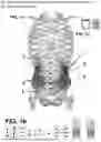 Fig. 02 - Systems and Methods for Training Muscle Activation and Awareness
