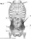 Fig. 04 - Systems and Methods for Training Muscle Activation and Awareness