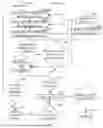 Fig. 16 - Systems and Methods for Training Muscle Activation and Awareness