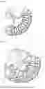 Fig. 02 - Apparatus For Injection In the Skin by Superficial Incision, And Its Loading Assembly