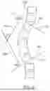 Fig. 03 - EXTERNAL ADJUSTMENT DEVICE FOR DISTRACTION DEVICE