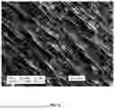 Fig. 03 - COMPOSITE RELEASE FILMS, AND DEVICES AND METHODS USING COMPOSITE RELEASE FILM IN FIELD OF ADDITIVE MANUFACTURING