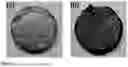 Fig. 04 - MAX PHASES BY REACTIVE FLASH SINTERING AND A METHOD FOR ULTRAFAST SYNTHESIS THEREOF