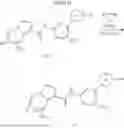 Fig. 366 - Wild type kit inhibitors