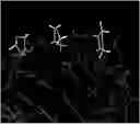 Fig. 01 - PEPTIDE NUCLEIC ACIDS, SYNTHESIS, AND USES THEREOF