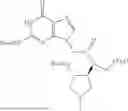Fig. 102 - PEPTIDE NUCLEIC ACIDS, SYNTHESIS, AND USES THEREOF