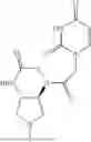 Fig. 108 - PEPTIDE NUCLEIC ACIDS, SYNTHESIS, AND USES THEREOF