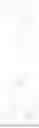 Fig. 130 - PEPTIDE NUCLEIC ACIDS, SYNTHESIS, AND USES THEREOF