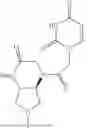Fig. 133 - PEPTIDE NUCLEIC ACIDS, SYNTHESIS, AND USES THEREOF