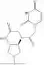 Fig. 16 - PEPTIDE NUCLEIC ACIDS, SYNTHESIS, AND USES THEREOF
