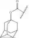 Fig. 40 - PEPTIDE NUCLEIC ACIDS, SYNTHESIS, AND USES THEREOF