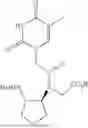 Fig. 54 - PEPTIDE NUCLEIC ACIDS, SYNTHESIS, AND USES THEREOF