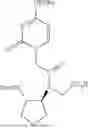 Fig. 55 - PEPTIDE NUCLEIC ACIDS, SYNTHESIS, AND USES THEREOF