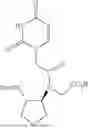 Fig. 58 - PEPTIDE NUCLEIC ACIDS, SYNTHESIS, AND USES THEREOF