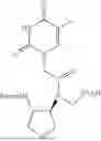 Fig. 59 - PEPTIDE NUCLEIC ACIDS, SYNTHESIS, AND USES THEREOF